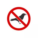 Bird Prevention