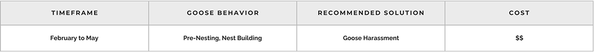 Canada geese management from February through May