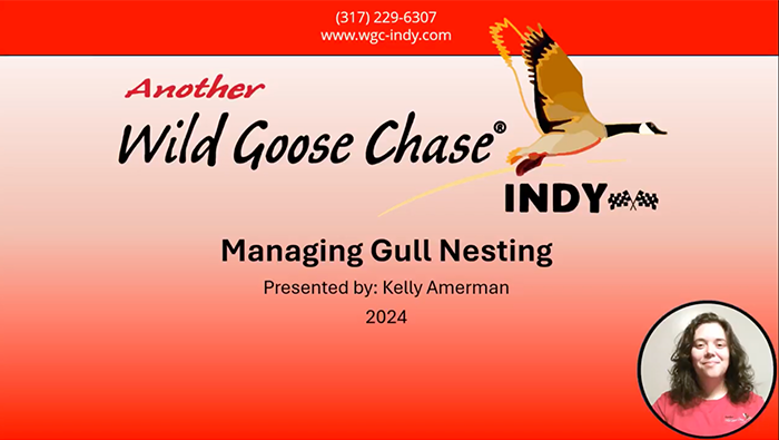 Wild Goose Chase Spring Breeding Webinar